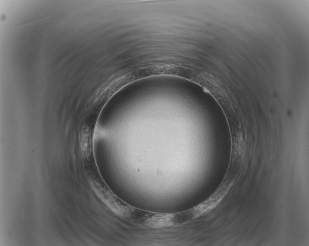 X0000087420138200704271746