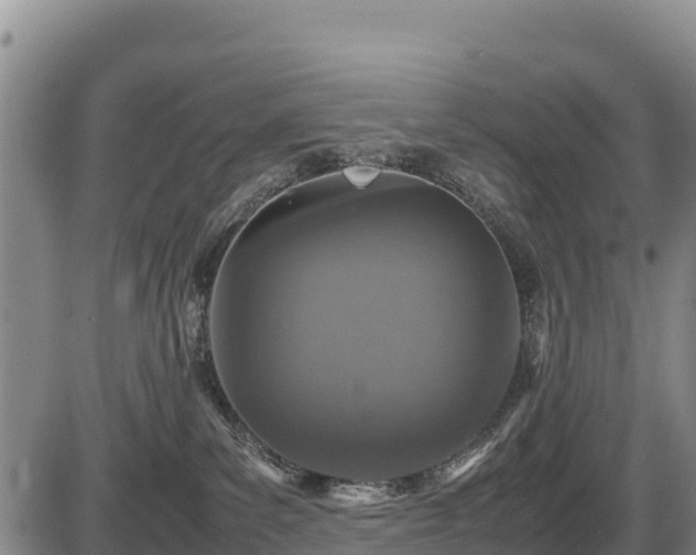 X0000087420139200704271746