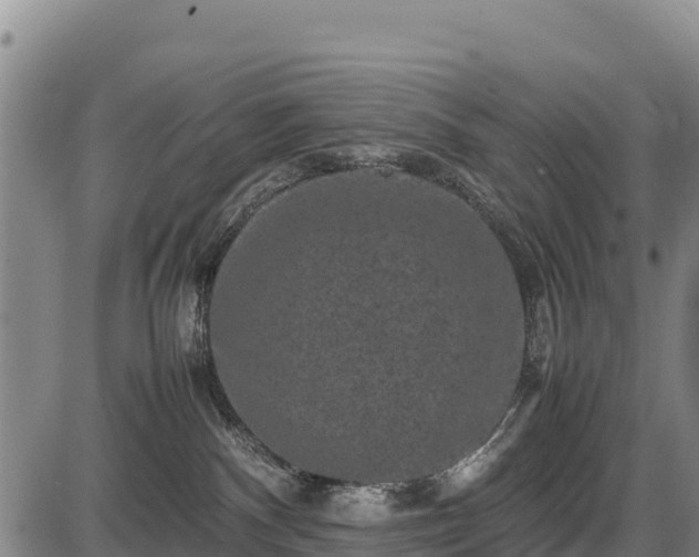 X0000087420140200704271746