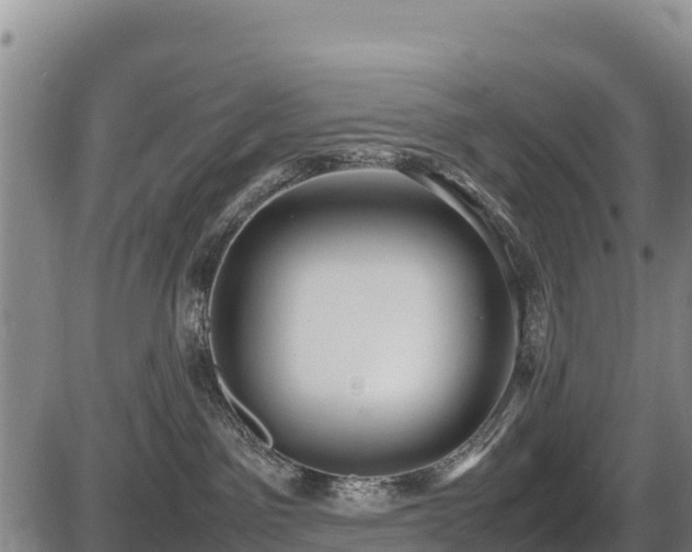 X0000087420141200704271746