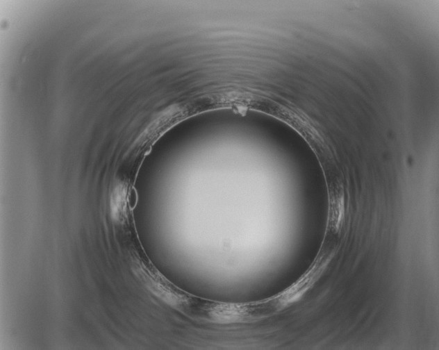 X0000087420142200704271746