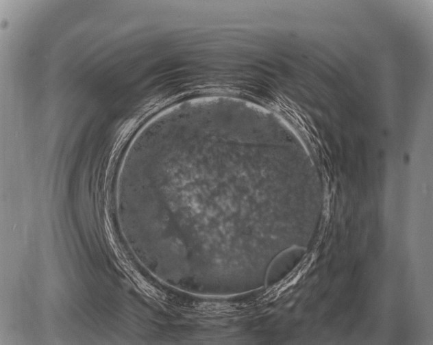 X0000087420145200704271746