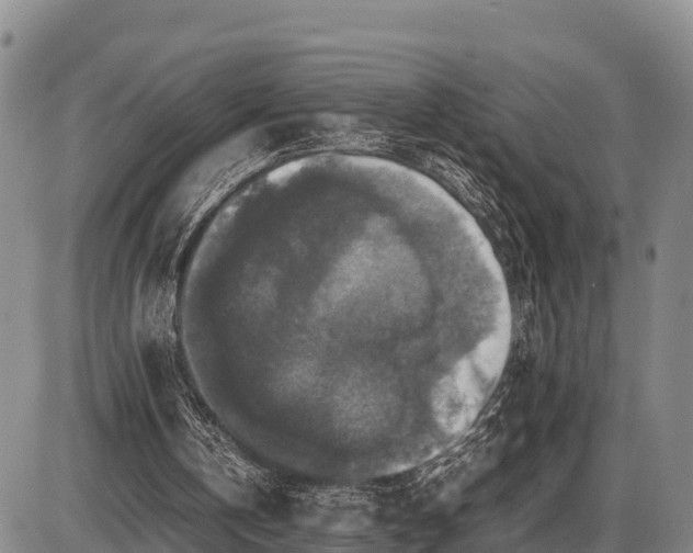 X0000087420146200704271746