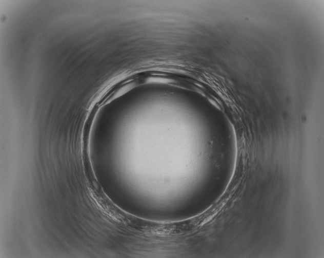 X0000087420148200704271746