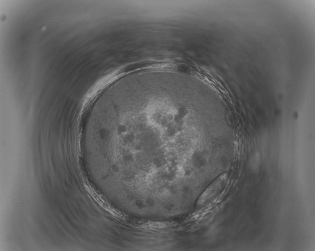 X0000087420149200704271746