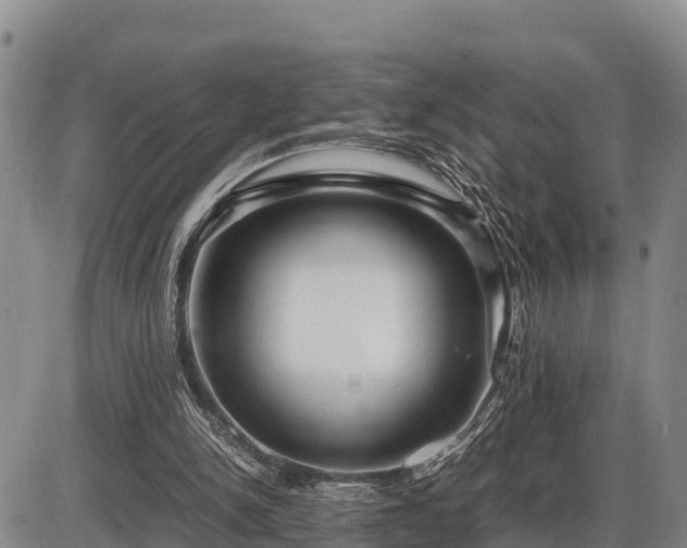 X0000087420150200704271746