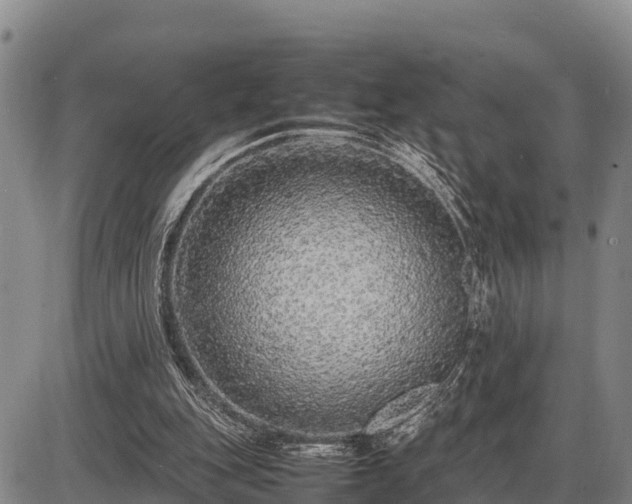 X0000087420151200704271746