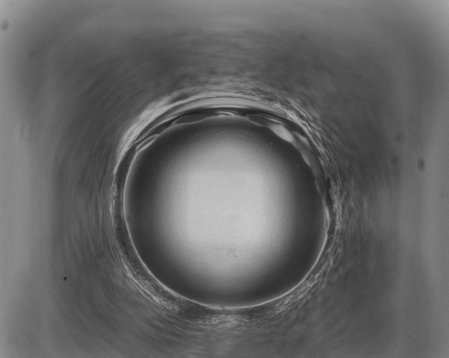 X0000087420152200704271746