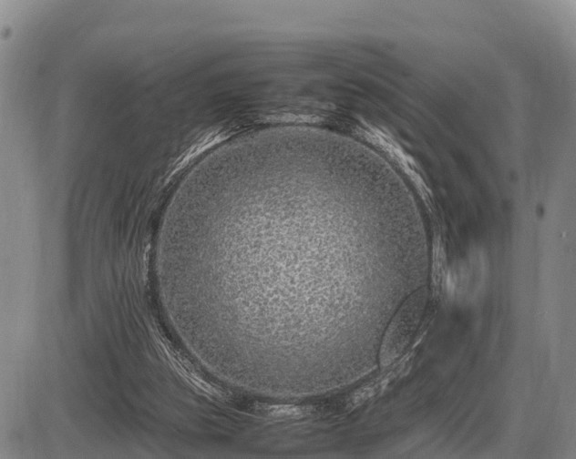 X0000087420153200704271746