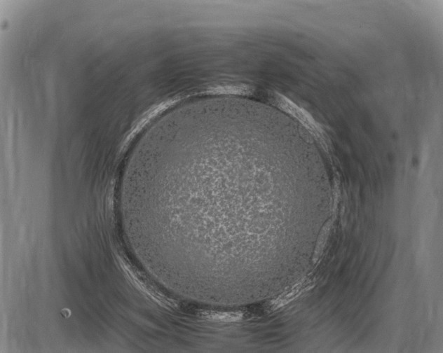 X0000087420155200704271746