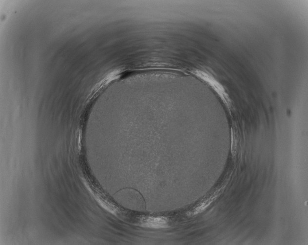 X0000087420157200704271746