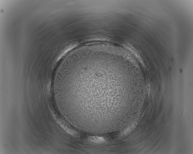 X0000087420159200704271746