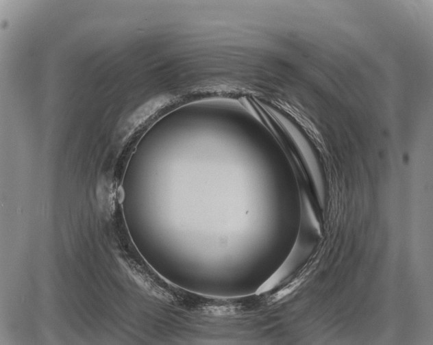 X0000087420160200704271746