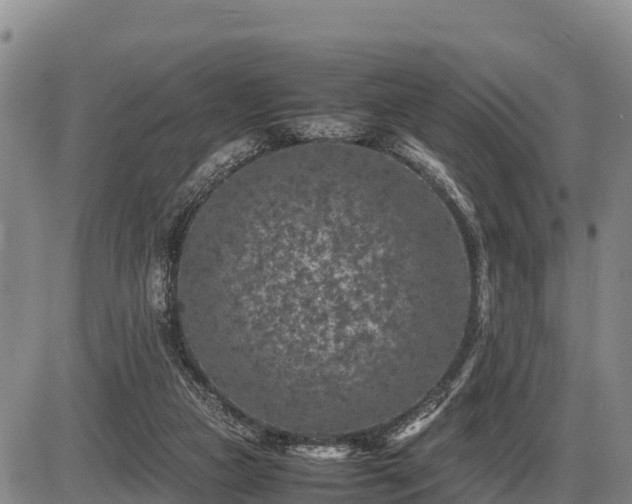 X0000087420161200704271746