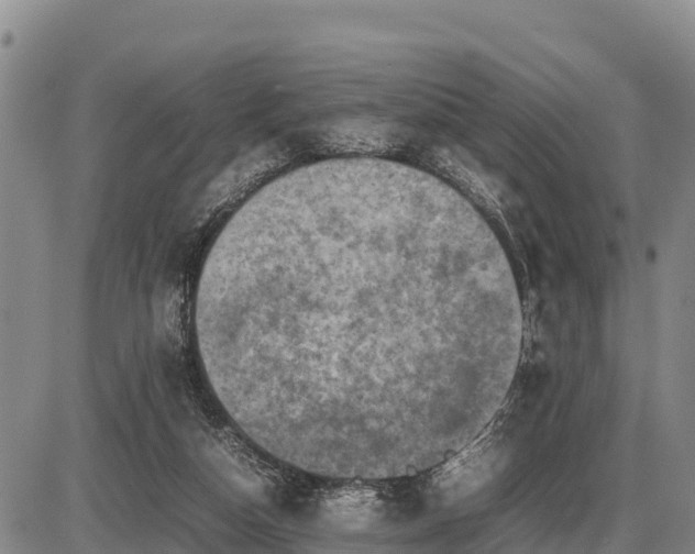 X0000087420162200704271746