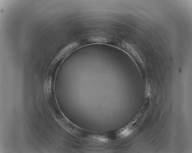 X0000087420163200704271746