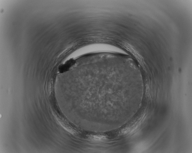 X0000087420165200704271746