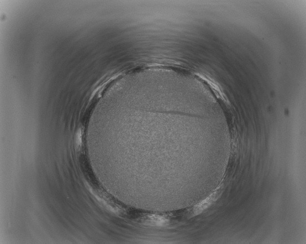 X0000087420166200704271746