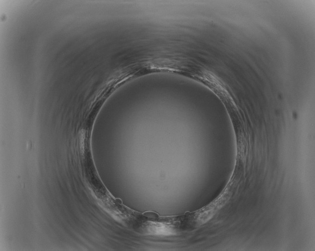 X0000087420167200704271746