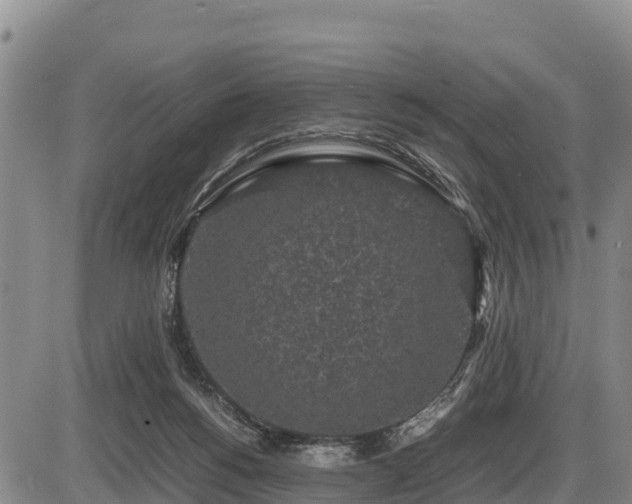 X0000087420168200704271746