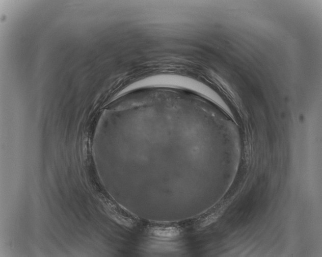 X0000087420169200704271746