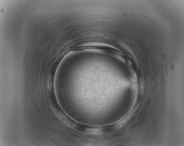 X0000087420170200704271746