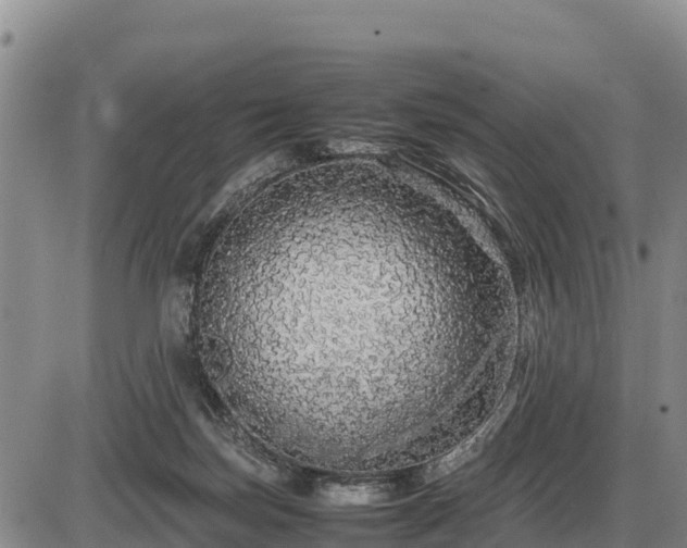 X0000087420171200704271746