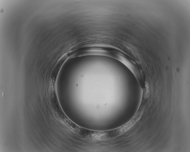 X0000087420172200704271746