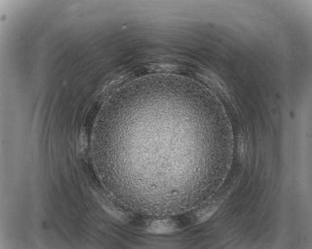 X0000087420173200704271746