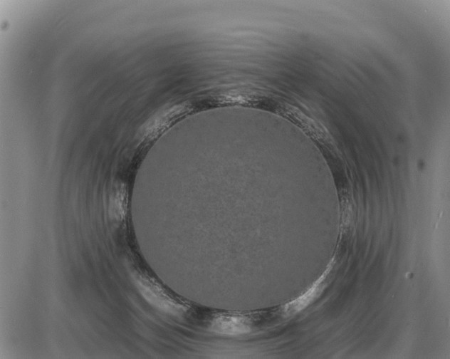 X0000087420174200704271746