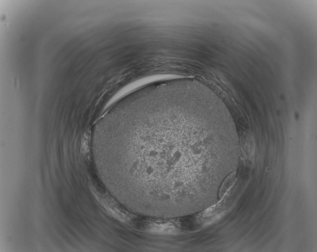 X0000087420175200704271746