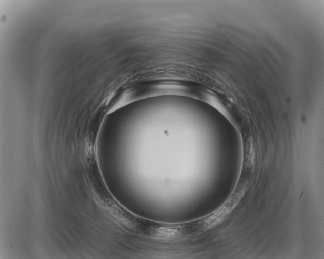 X0000087420176200704271746