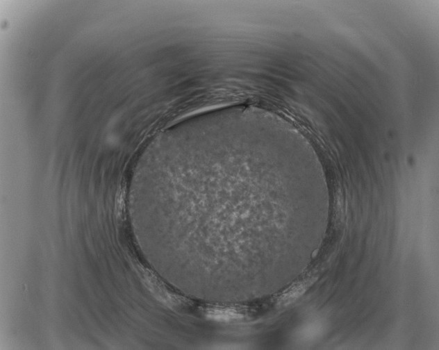 X0000087420177200704271746