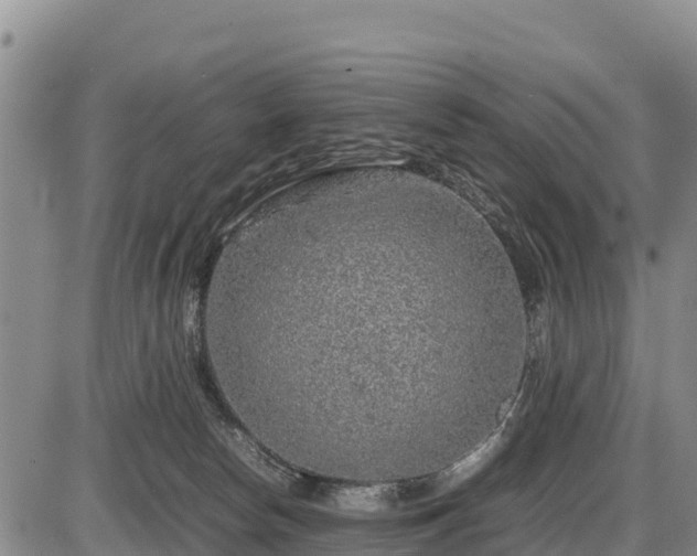 X0000087420178200704271746