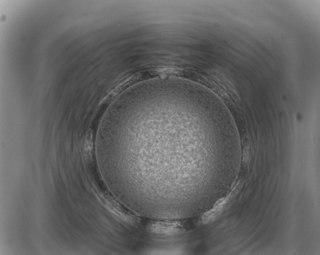 X0000087420179200704271746