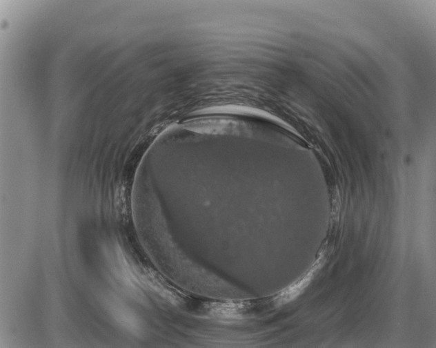 X0000087420182200704271746