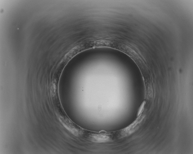 X0000087420183200704271746