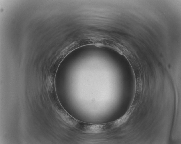 X0000087420184200704271746