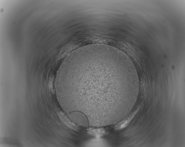 X0000087420185200704271746