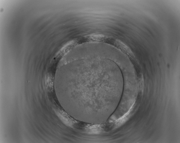 X0000087420186200704271746