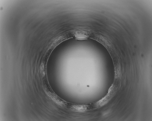 X0000087420187200704271746