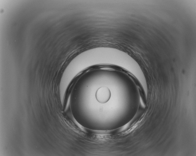 X0000087420188200704271746