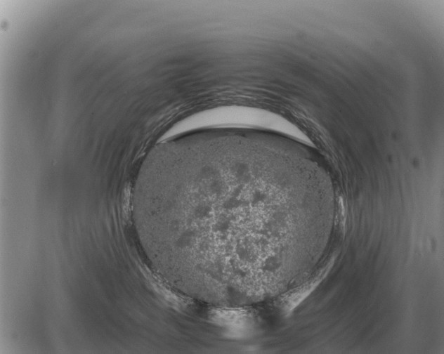 X0000087420189200704271746