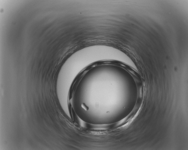 X0000087420190200704271746