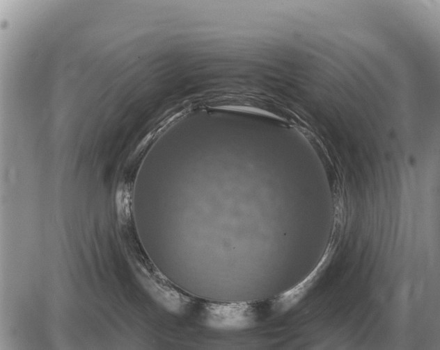 X0000087420191200704271746