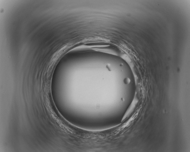 X0000087420193200704271746