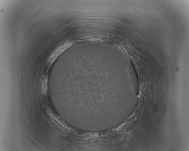 X0000087420194200704271746