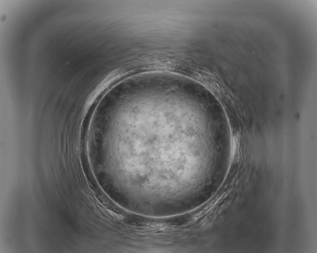 X0000087420195200704271746