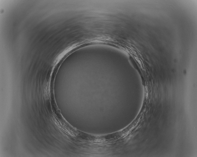 X0000087420196200704271745