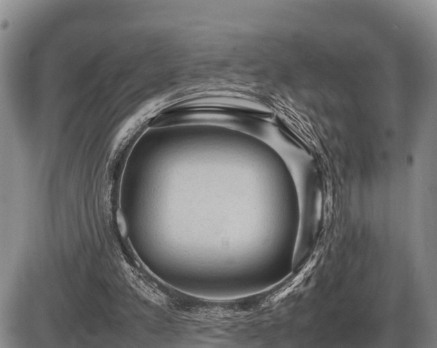 X0000087420197200704271745